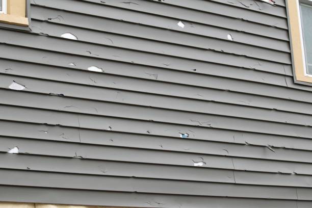 Best Storm Damage Siding Repair  in Union Beach, NJ