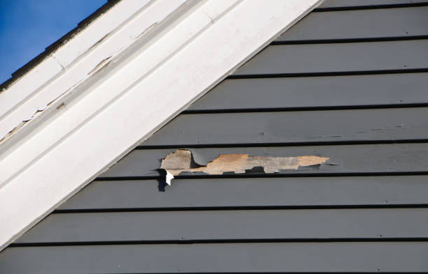 Best Custom Siding Design  in Union Beach, NJ